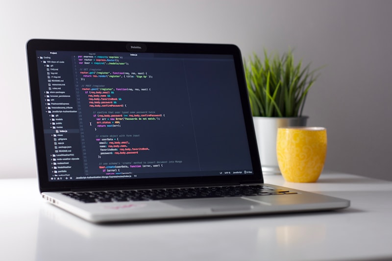 Trivionex Developer Workspace